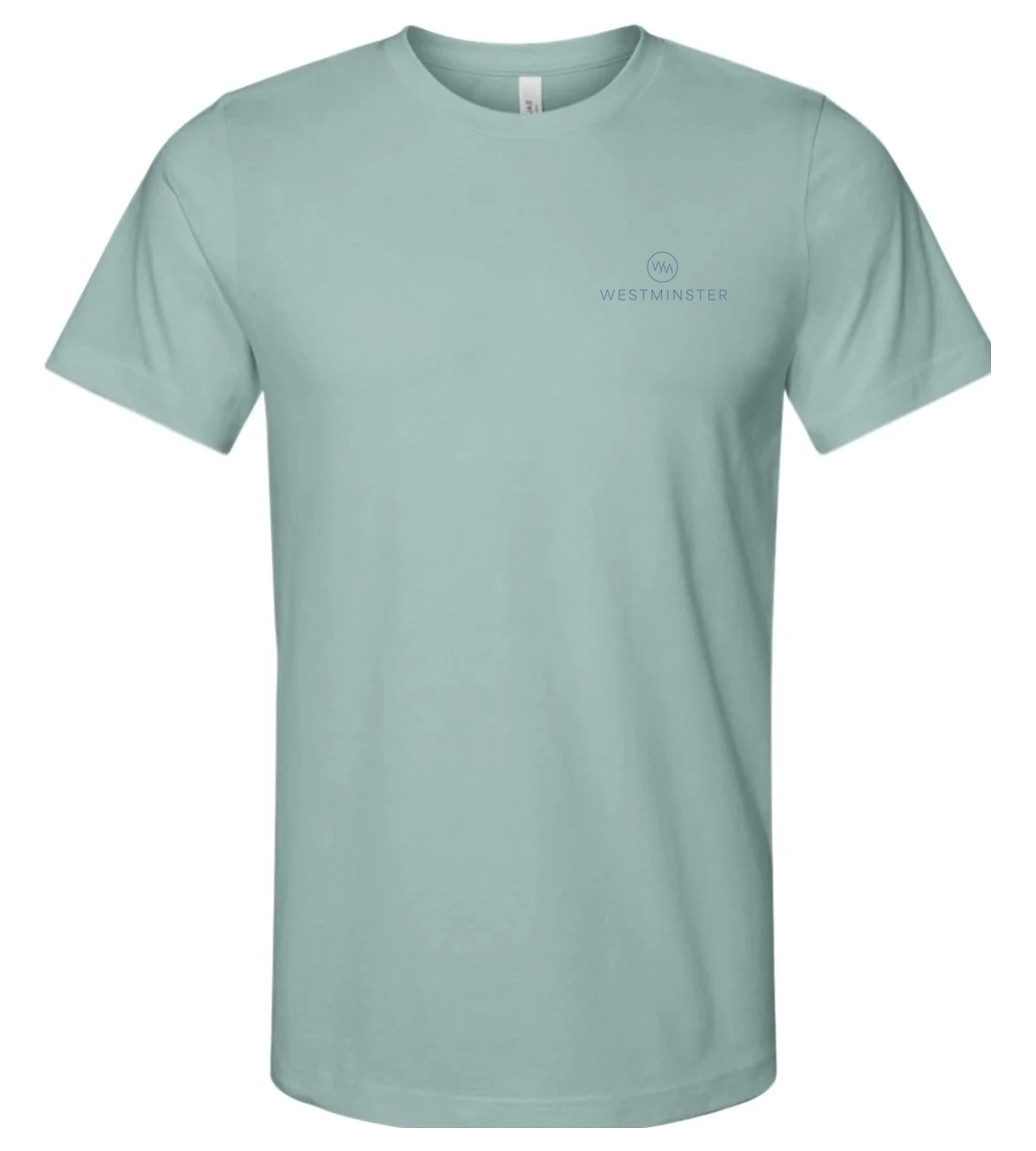 Bella + Canvas Jersey Tee